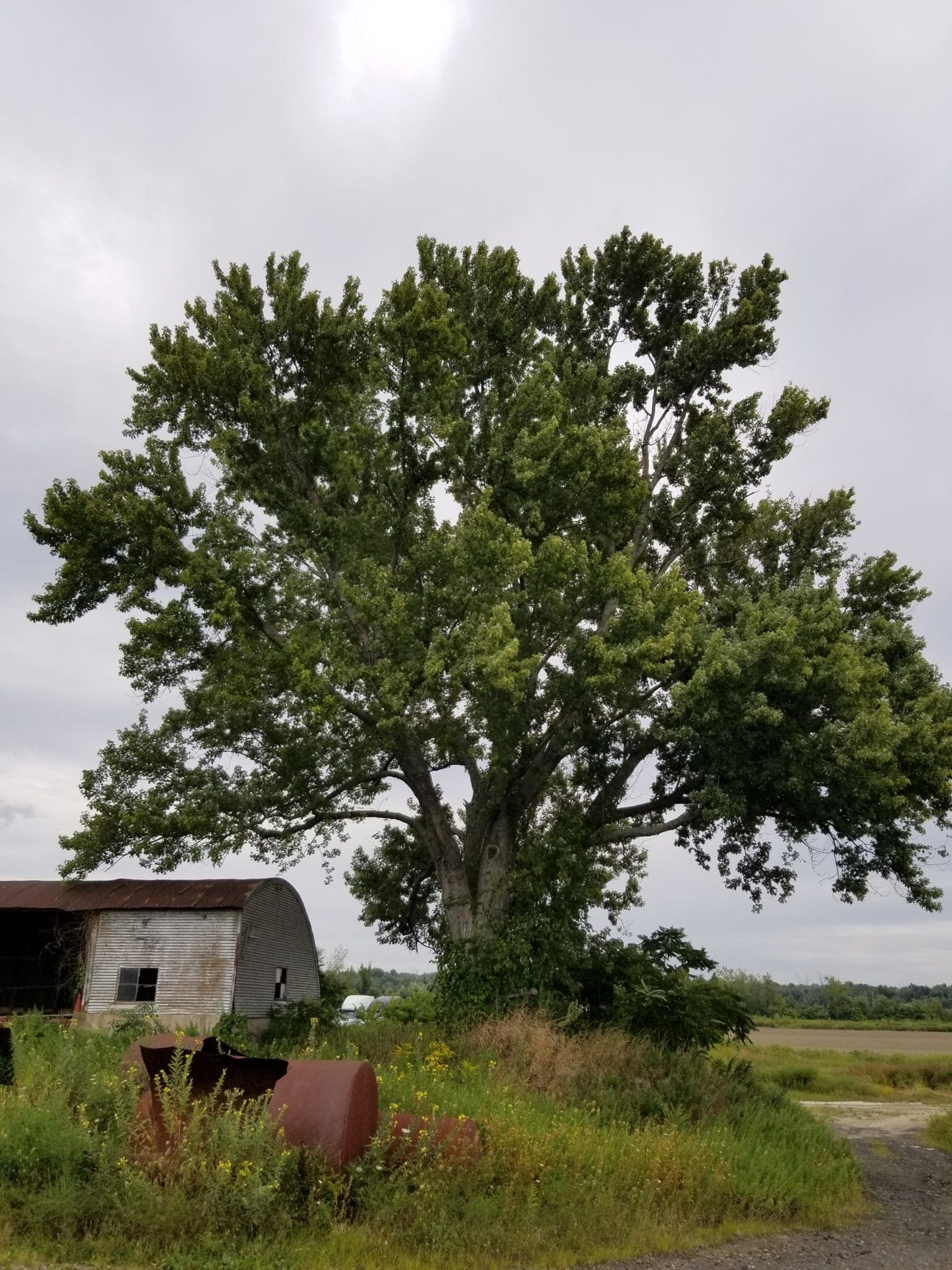 Read more about the article Riverfront Recapture Information Meeting Regarding EPA Brownfield Cleanup Grant Proposal