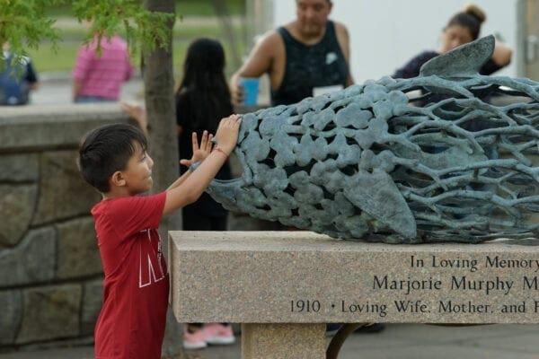 29825443937_9b89ccdc1d_o