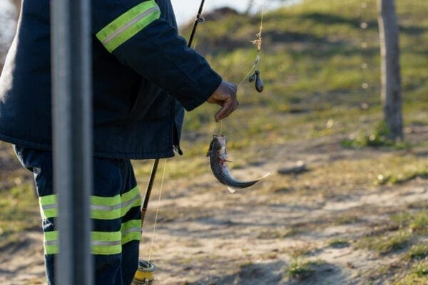 49830017948_b3abc3e582_k