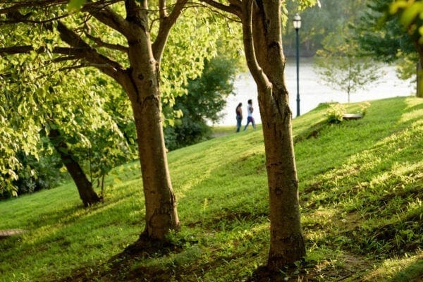 Sounds of Summer 2019 47 (1)