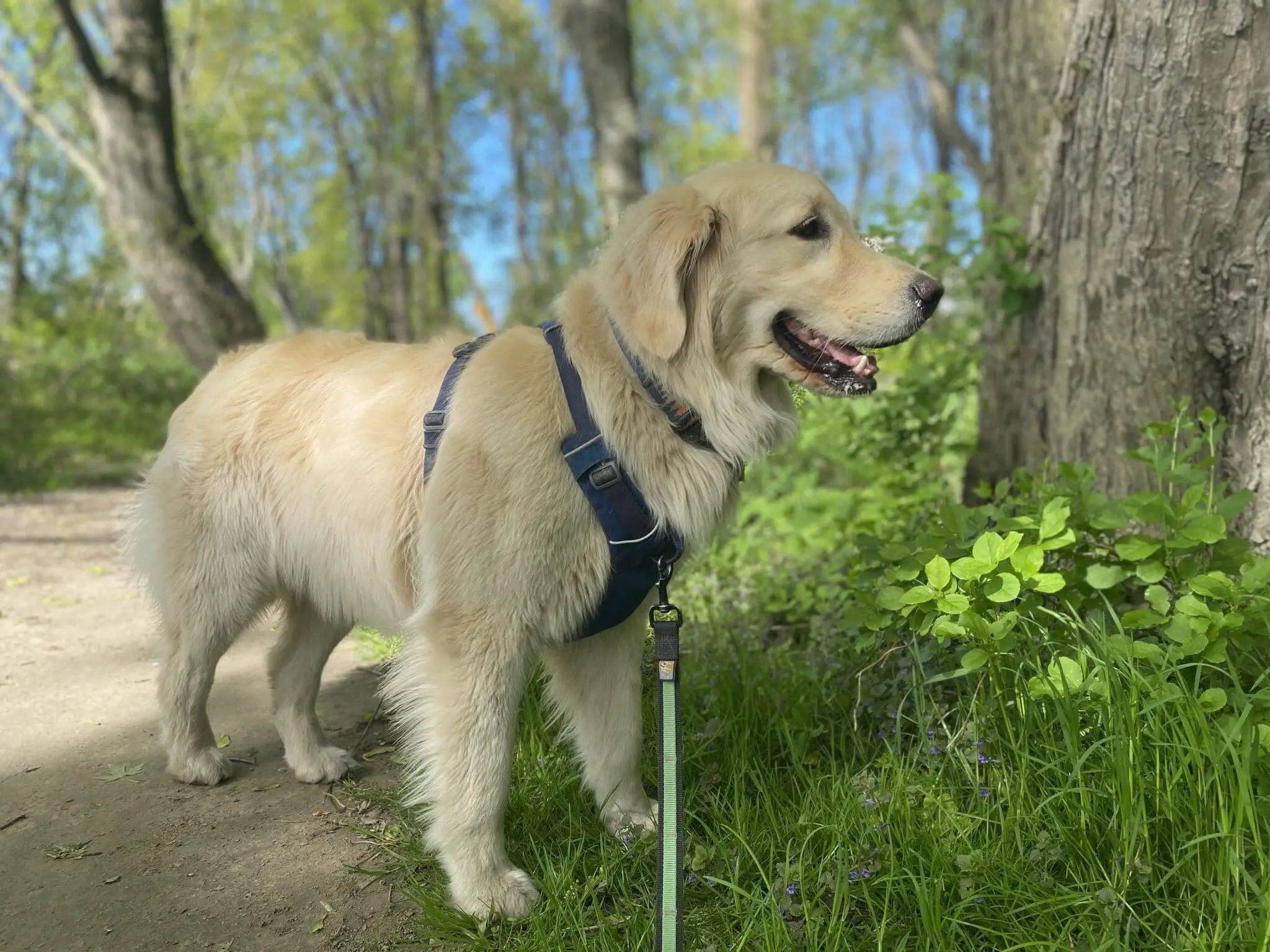 Read more about the article Remembering Dock